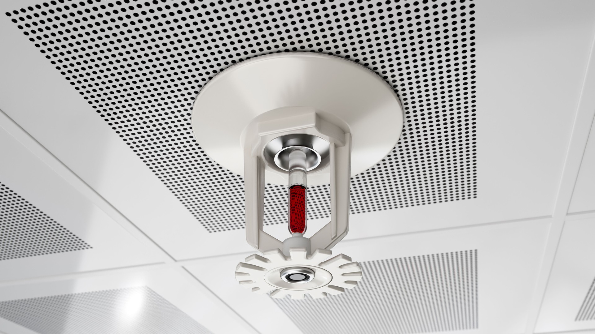 Fire Sprinkler on a White Ceiling With Perforated Tiles